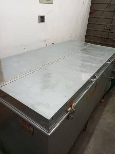 new Patti steel