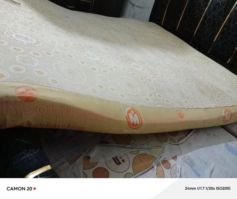master molty foam 1
