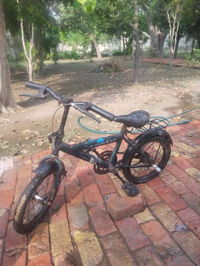 Bicycle