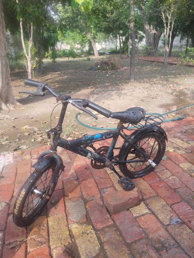 Bicycle 1