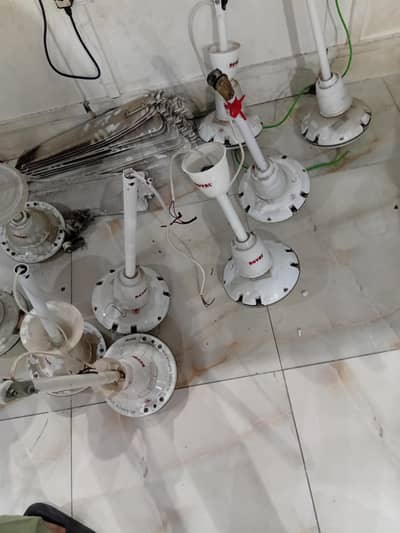 Royal Ceiling Fan For Sale Only 1 Season Use Total Fans 5 5k For Each