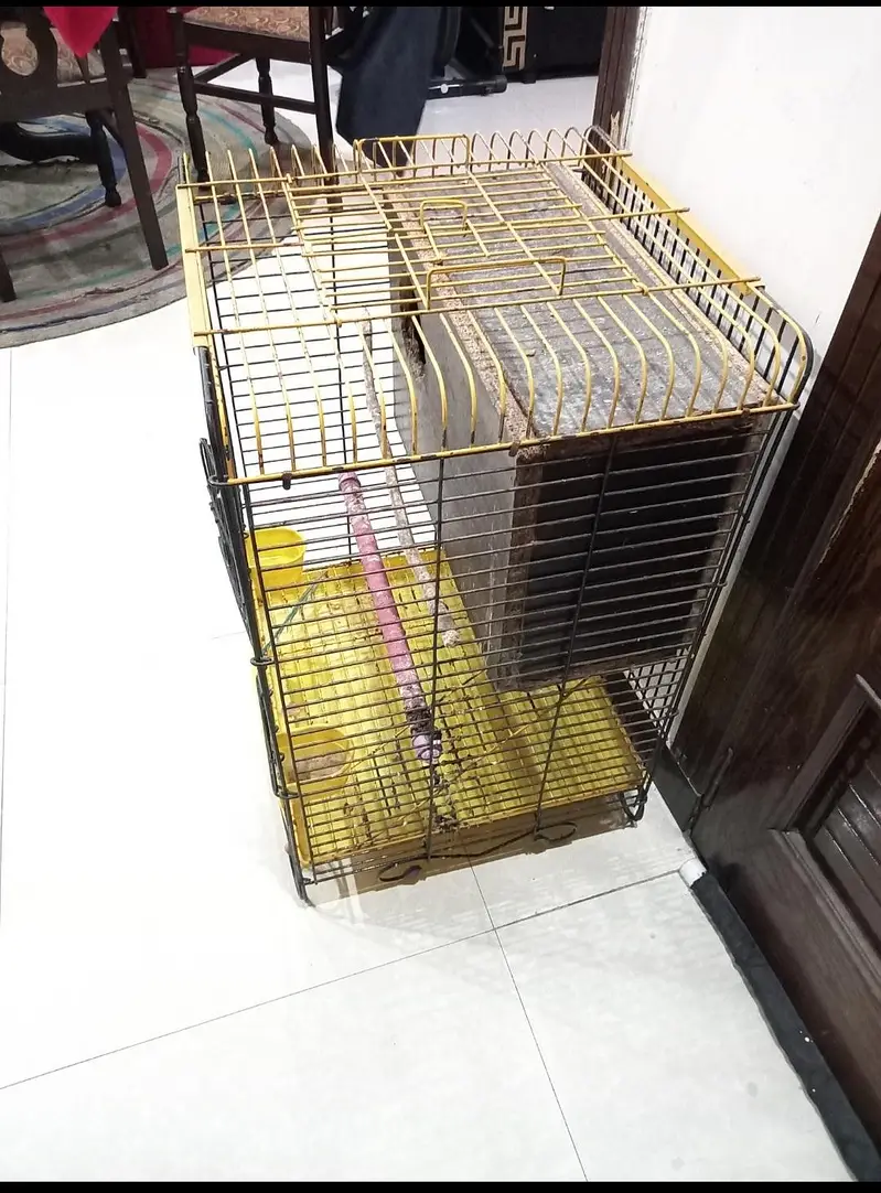 parrots cage — photo 2