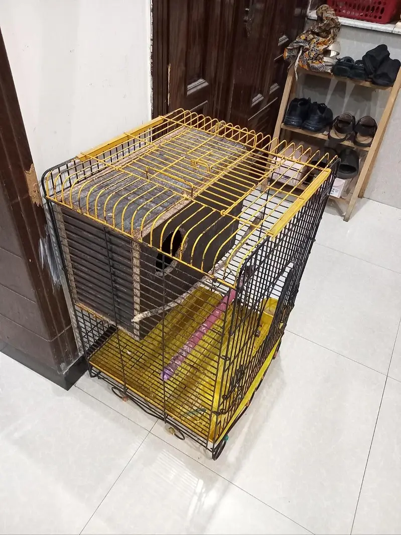 parrots cage — photo 3
