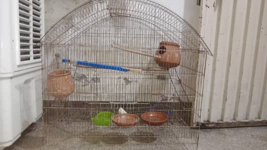 Birds cage 10/8 condition kuga/bartan Matti Ka/Tray