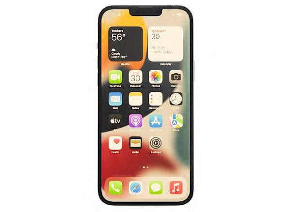 Apple iPhone 13 Pro Max 1