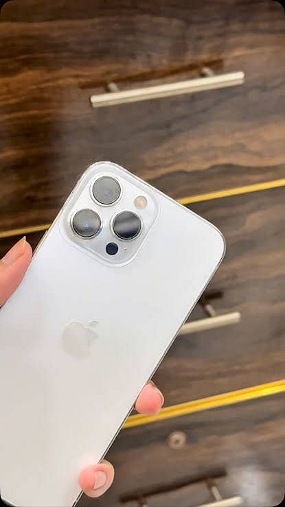 Apple iPhone 13 Pro Max 2