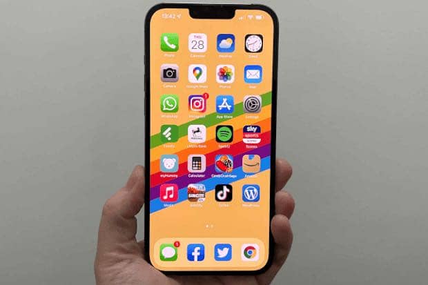 Apple iPhone 13 Pro Max 4
