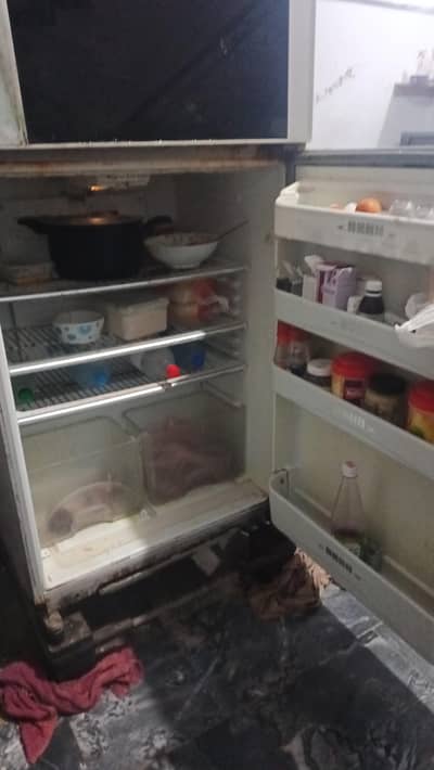 freezer