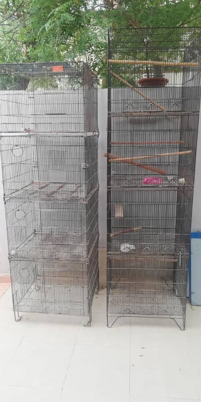 birds cages