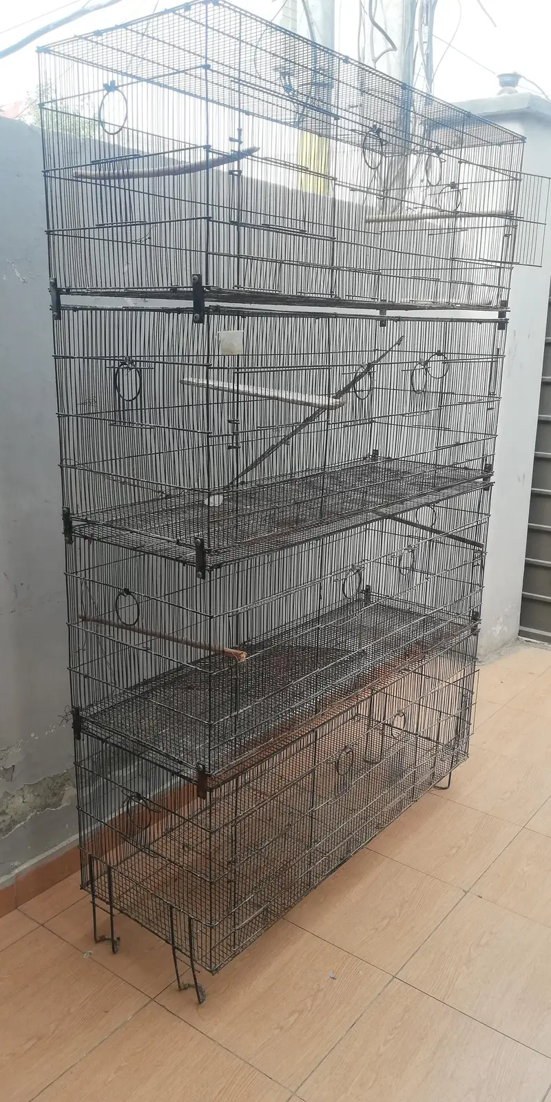birds cages — photo 2