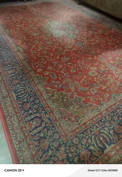 Best Carpet
