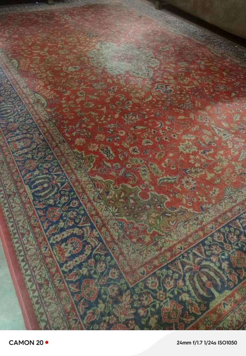Bear Carpet 0