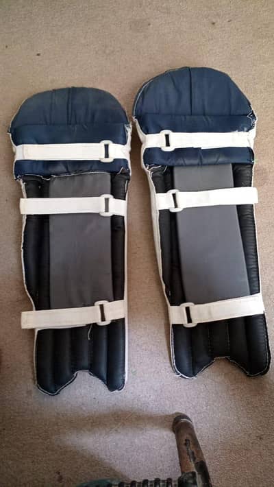 Cricket kit for kids
