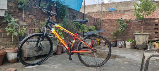 Chicago bicycle for sale few months used