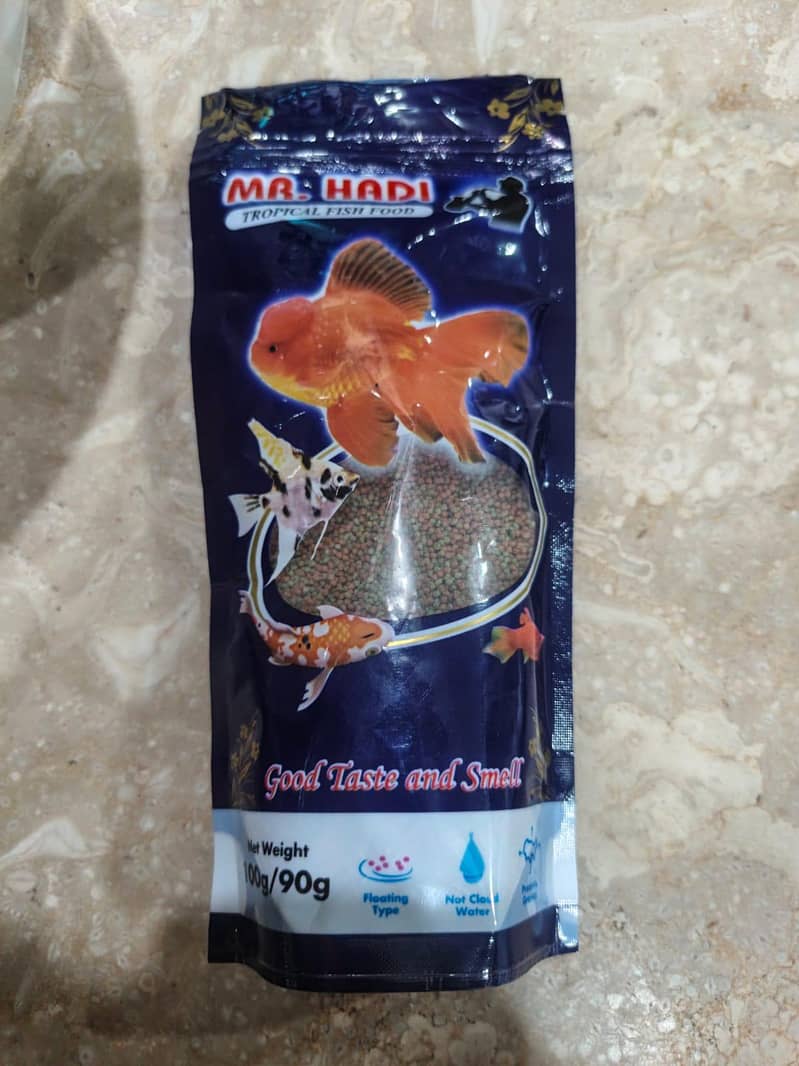 Molly fish 4