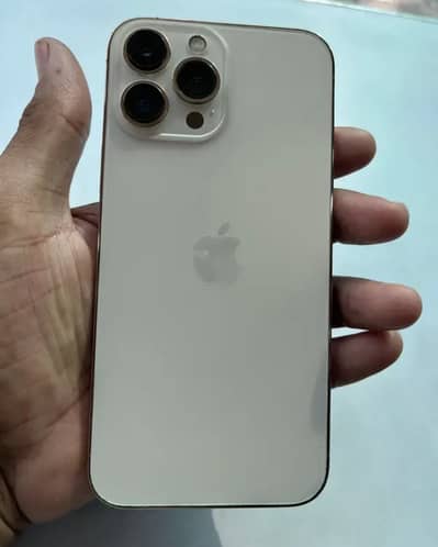 Apple iPhone 13 Pro Max