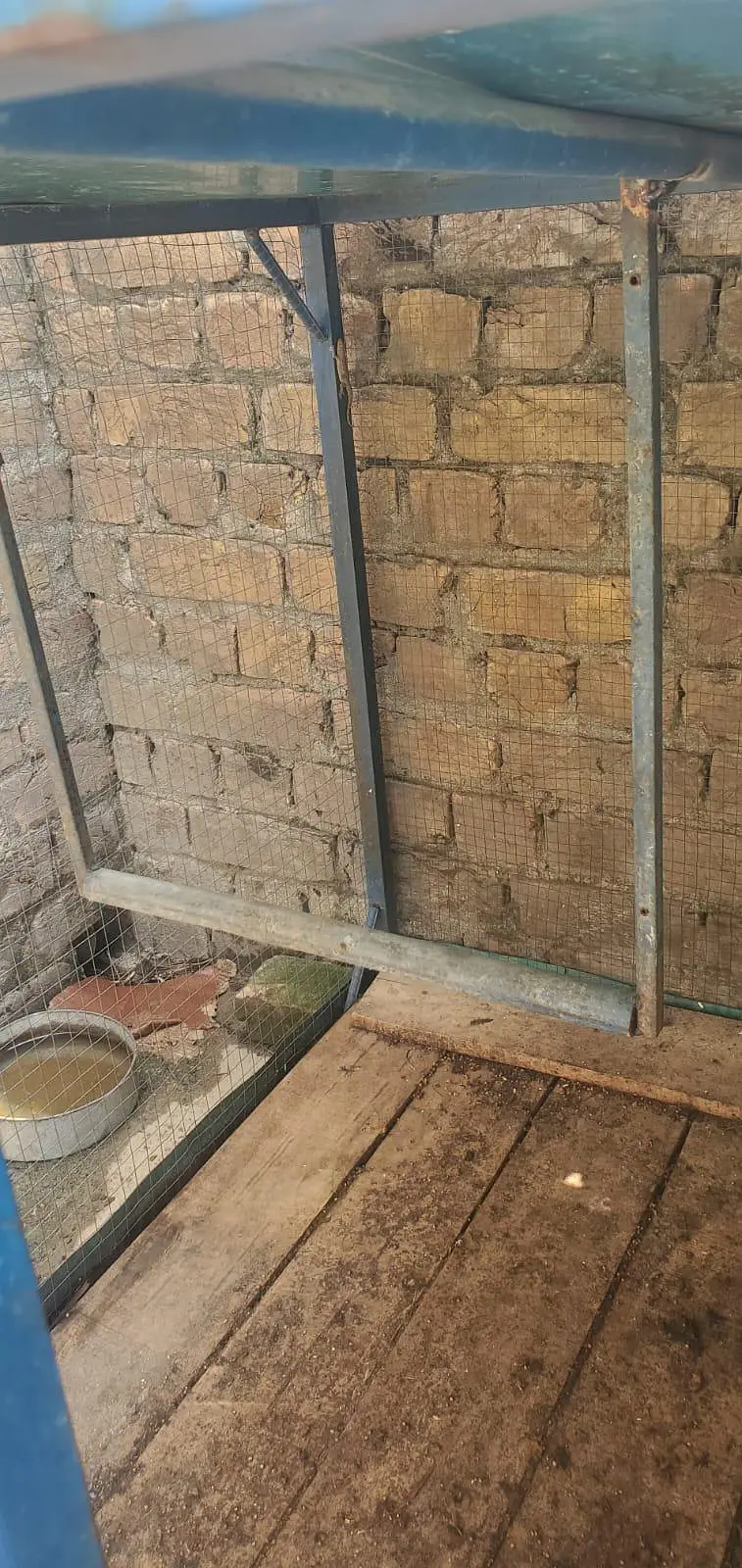 Urgent sale business cage whatsapp 03145065986 — photo 5