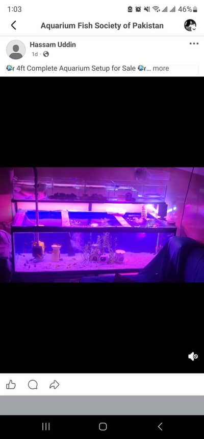 big aquarium complete 4ft