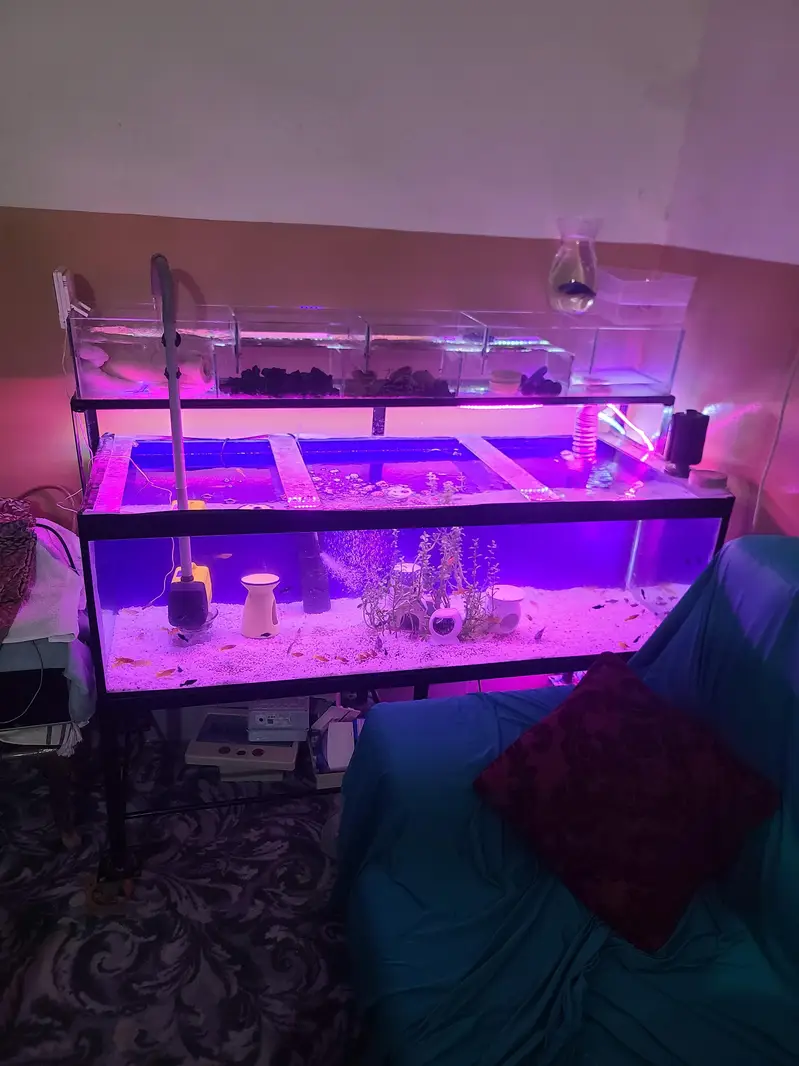 big aquarium complete 4ft — photo 2