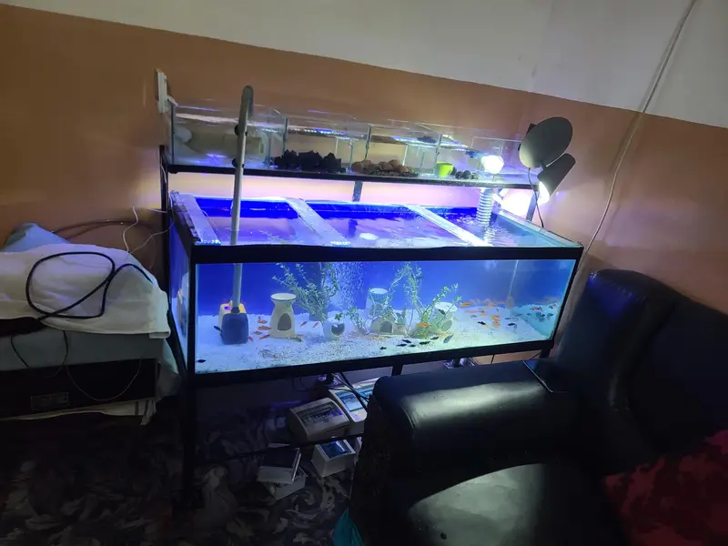 big aquarium complete 4ft — photo 3