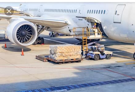 cargo home delivery services