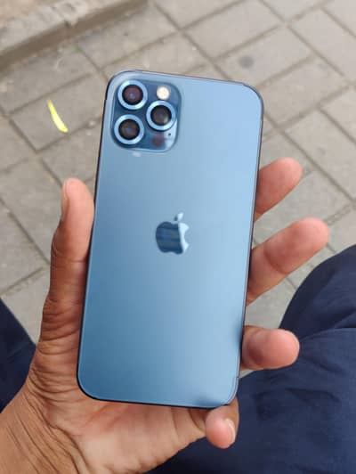 iphone 12 pro pta approved