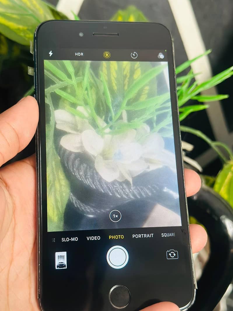 Apple iPhone 7 Plus 5