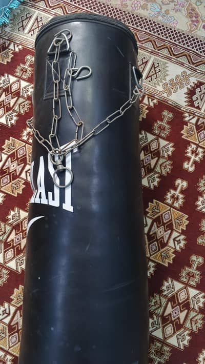 Everlast boxing bag ( deal )