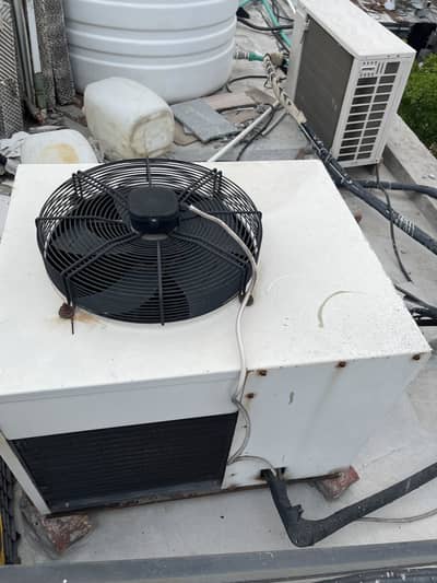 Chiller 12.5 / 5.5 foot