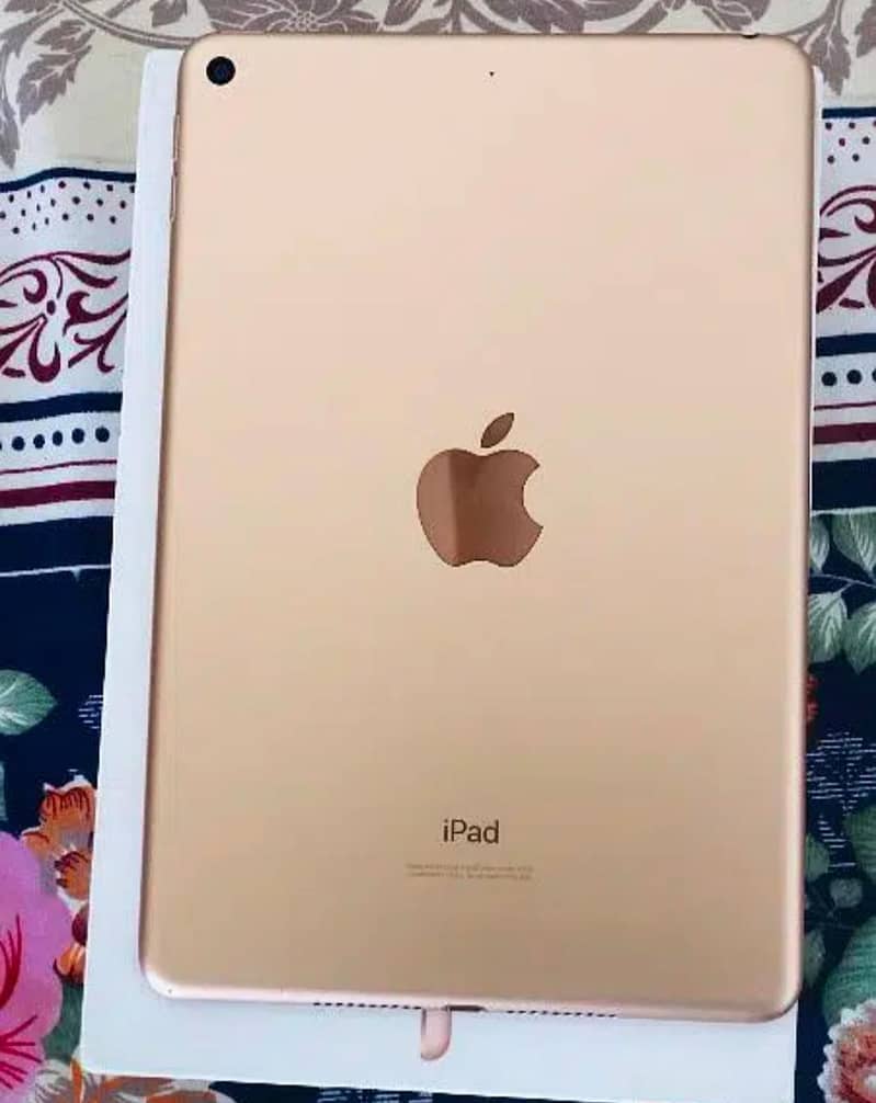 iPad Mini 5 1