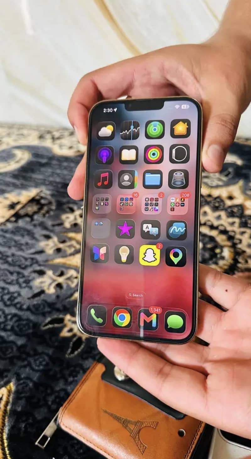 Apple iPhone 13 Pro Max 2