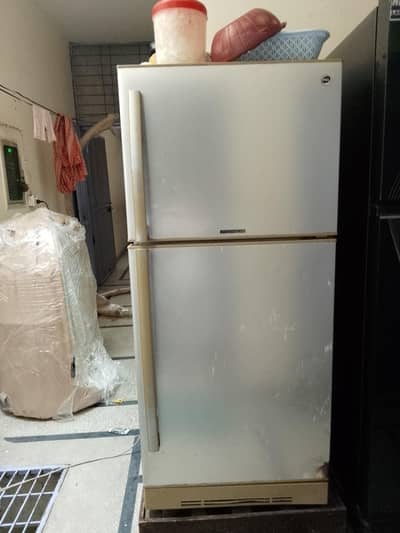 freg for sale