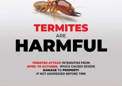 Deemak Control / termite control / pest control / fumigation spray ser