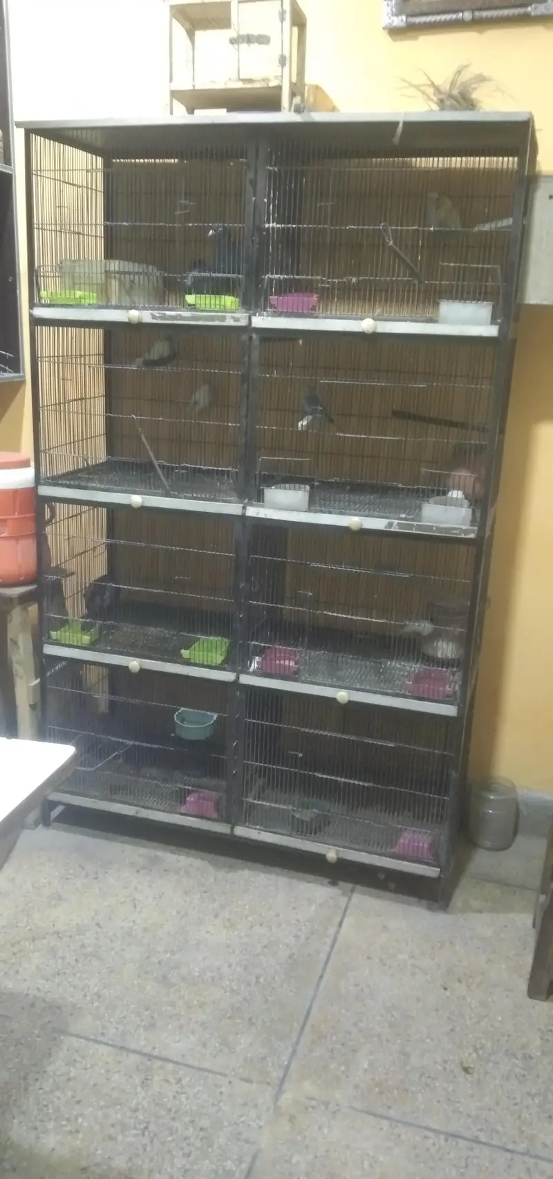 iron cage 4 portion partnership — photo 2
