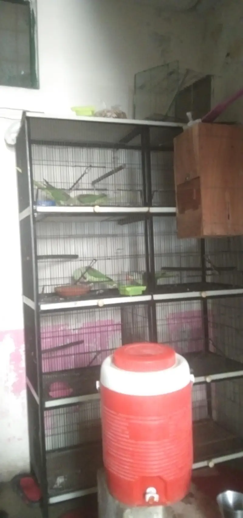 iron cage 4 portion partnership — photo 3