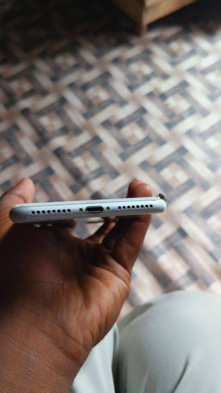Apple iPhone 8 Plus 0