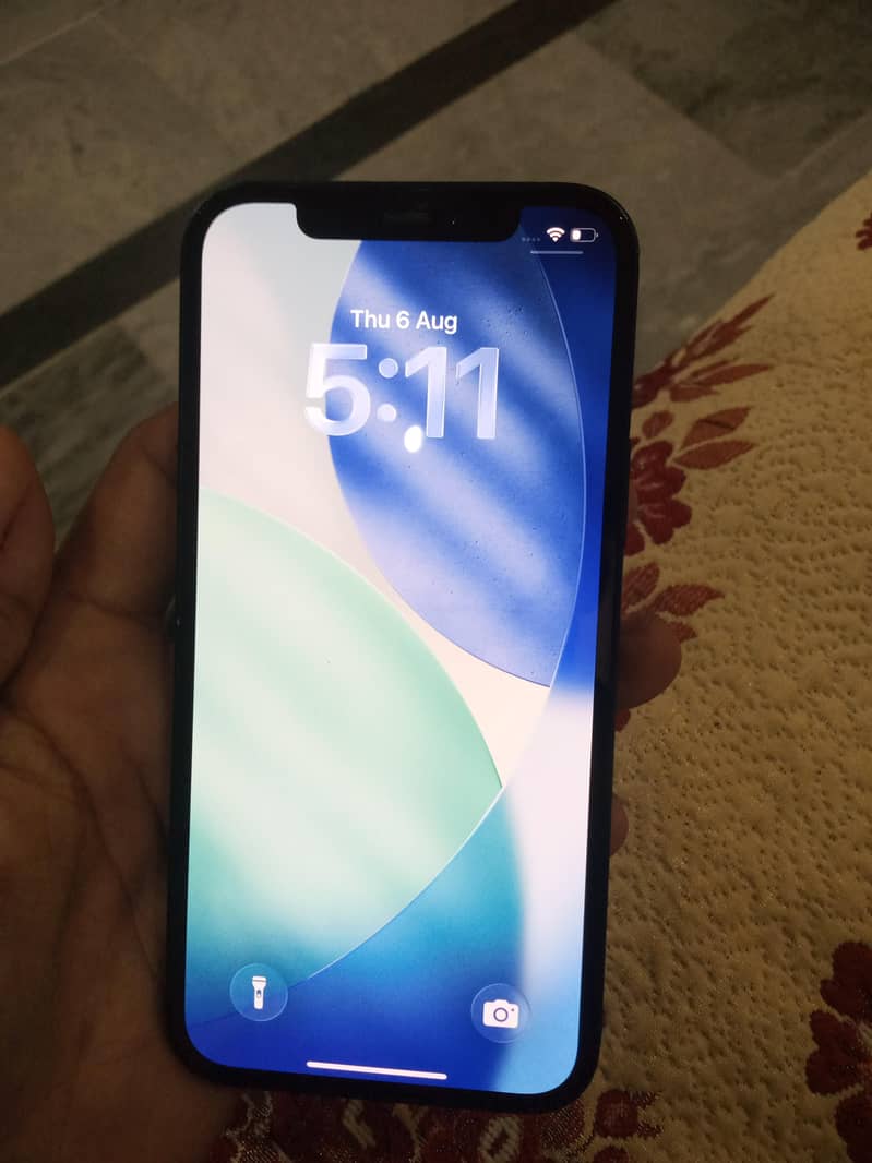 Apple iPhone 12 1