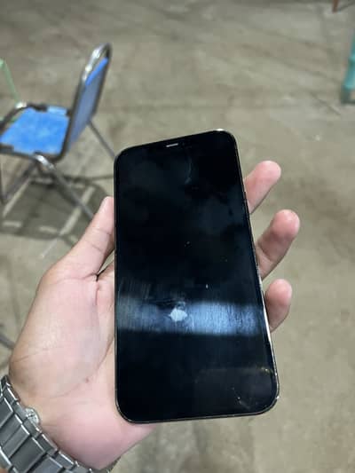 Apple iPhone 12 Pro Max