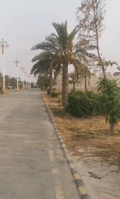 City Housing phase 1 Multan 10 Marla plot urgent for sale