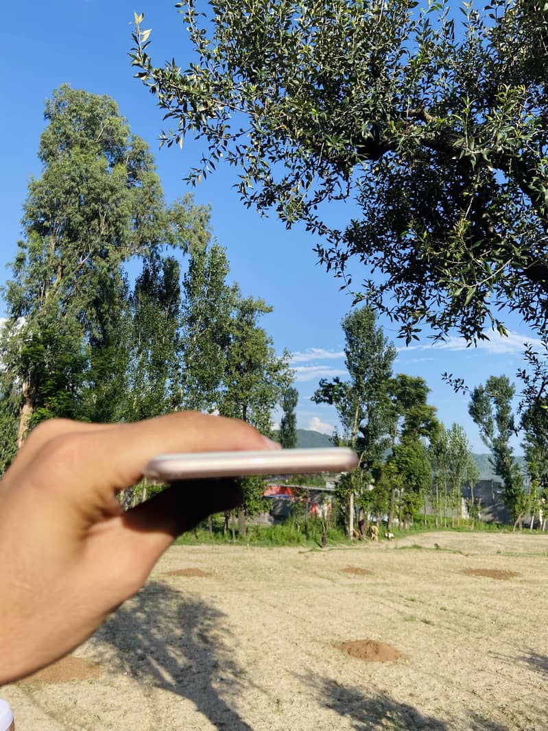 Apple iPhone 8 Plus 3