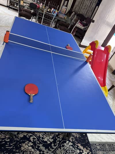Professional Foldable Table Tennis Table – Excellent Condition