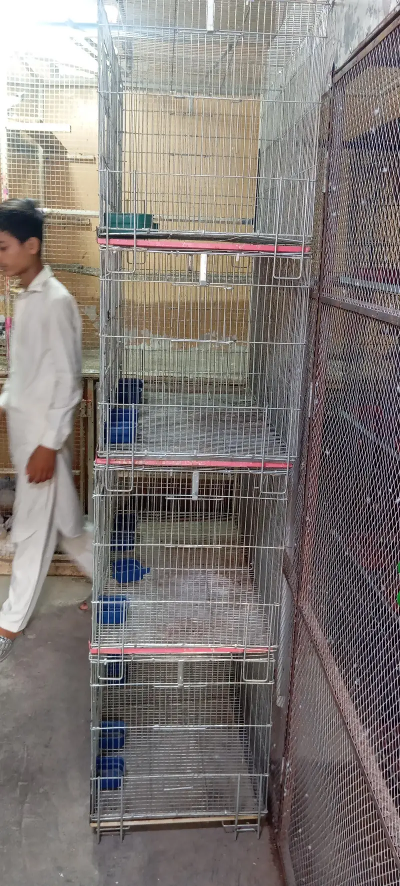 ali cage silver wire — photo 2