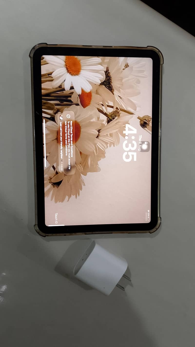 ipad mini 6 0