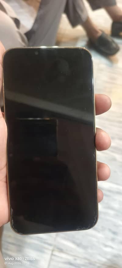 Apple iPhone 13 Pro Max PTA