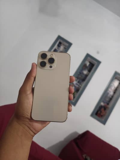 Apple iPhone 13 Pro
