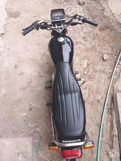 black  beuti