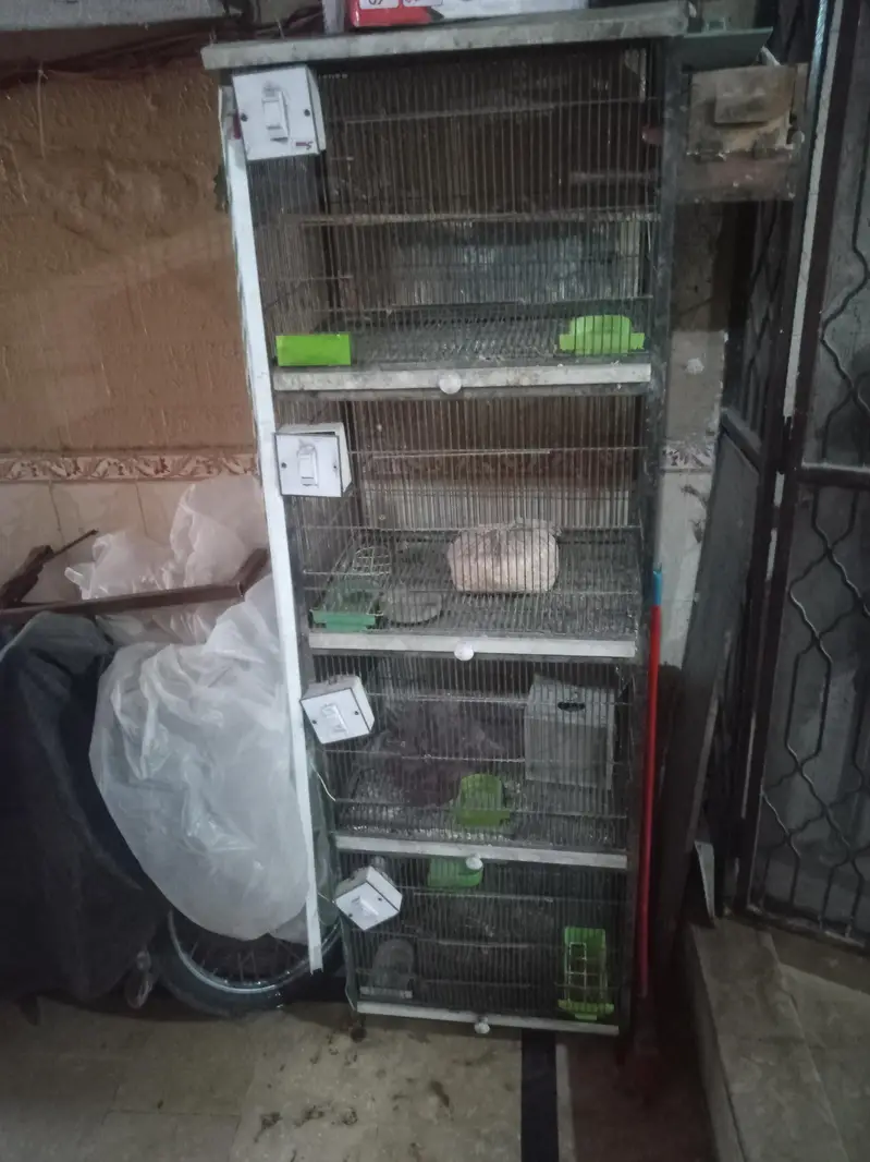 spot welding cage — photo 2