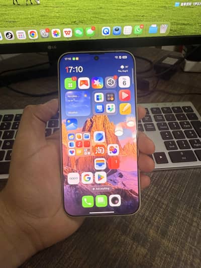 One Plus Other Model