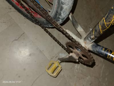 Good condition cycle 10 to 14 years cycle for sale