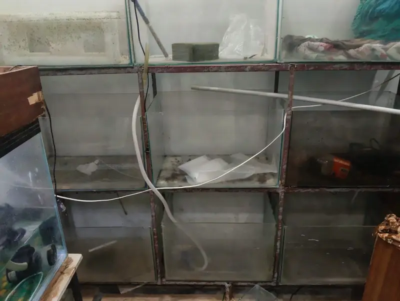 Fish Aquarium — photo 2